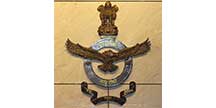 Indian Air Force logo